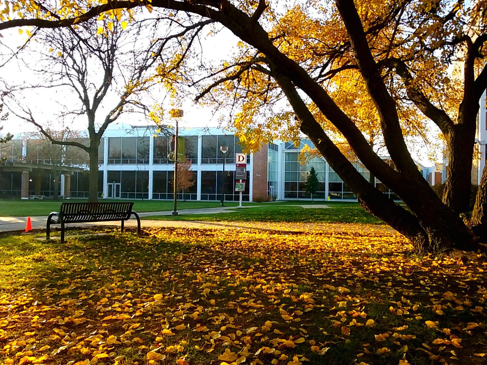 Triton College's River Grove campus in the fall